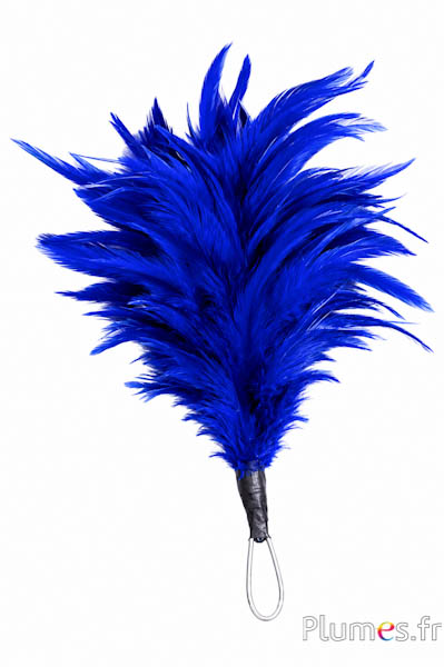 Pennacchio gallo con anello - altezza 20 cm - blu